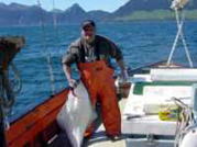 Spike with a Halibut