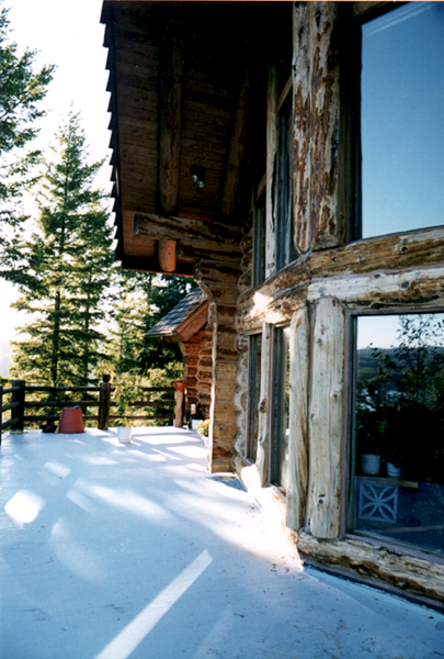 View of the back porch
