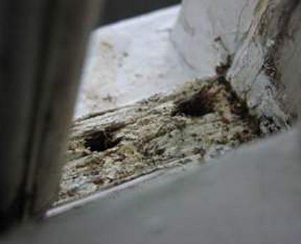 Holes drilled into window sill