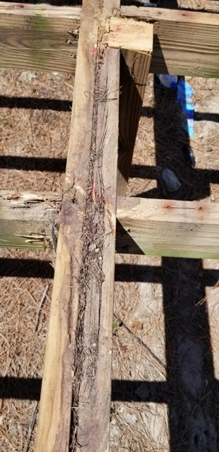 Close up of the joist near the center post