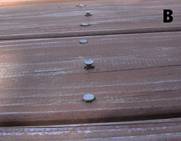 Deck showing raised nails, picture B