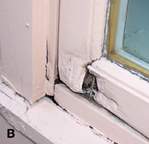Window