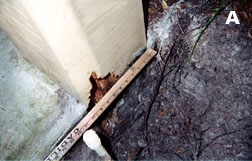 Rotted Post