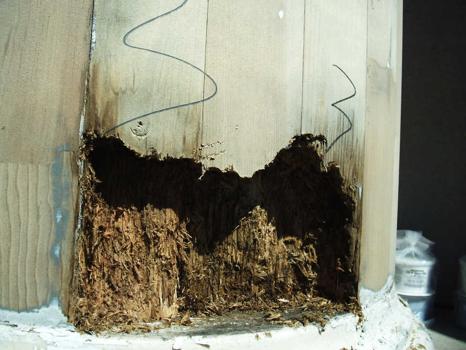 Column base rot damage close up