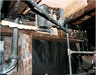Basement Plumbing Rot