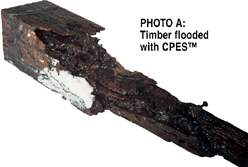 CPES Soaked Wood