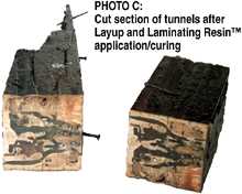 CPES + L&L Cross Section