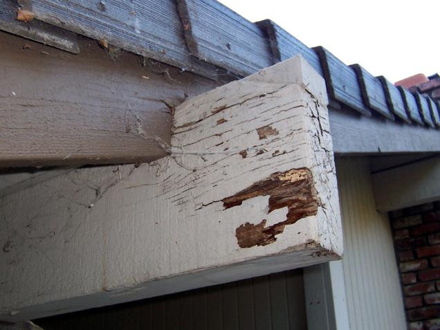 (A) Rotting exposed beam end