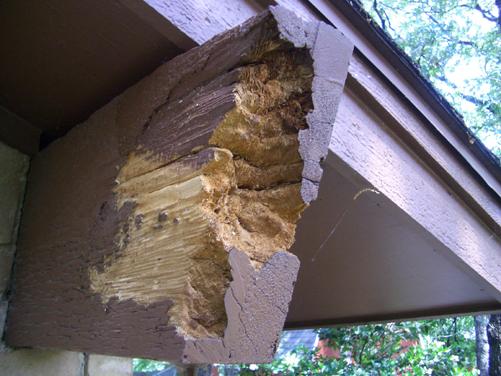 (C) Rotting exposed beam end