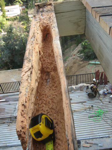 (H) Badly rotted beam/joist