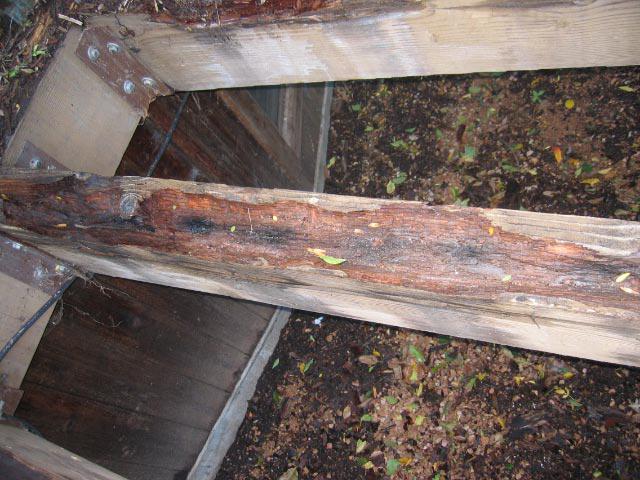 (I) Slightly rotted beam/joist