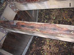 Penetration Test - Wood preservation, rot repair, and restoration using epoxy  resin on boats, homes and log homes.