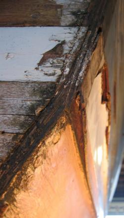 plywood delamination 