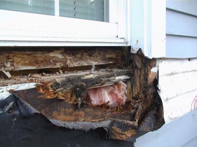 Window Rot