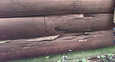 Log Damage