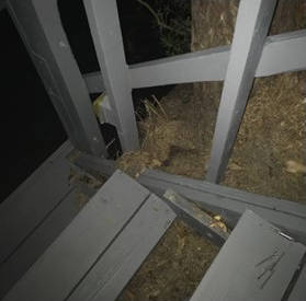 View from the top, of the stair bracket before removal showing carpenter ant damage