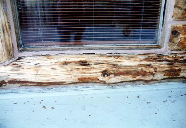 Bottom window sill log