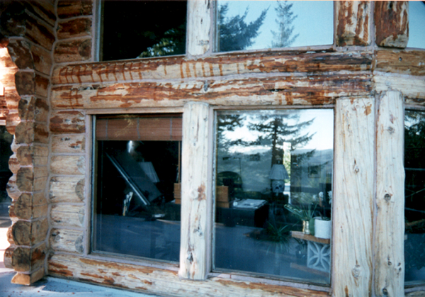 Logs being treated between the windows