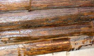 Repairing Rotten Logs - Epoxy is NOT the Answer