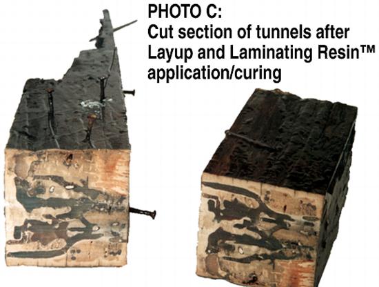 (C) Termite tunnels after Layup and Laminating Epoxy Resin application