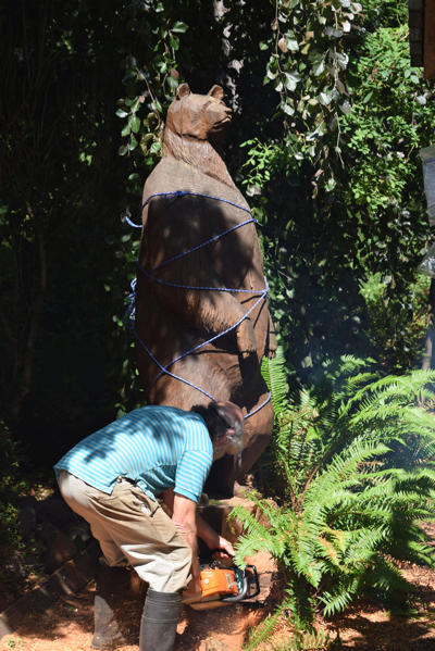 Chain sawing the carving off the stump