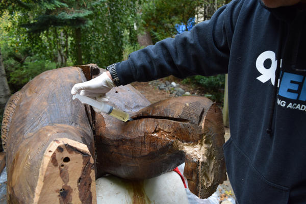 Filling in the hollows of the ant damaged leg with GP Epoxy Resin