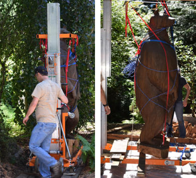 Moving the bear with the hoist