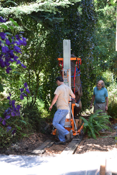 Using hoist for removal from stump