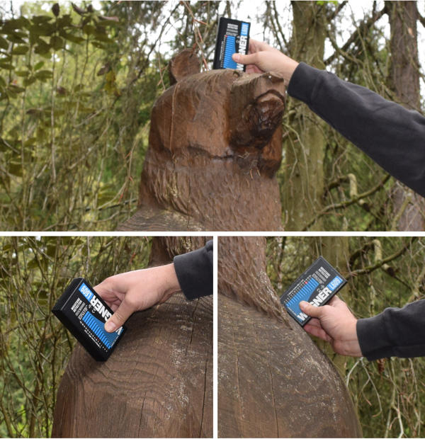 Moisture meter reading of head and shoulders