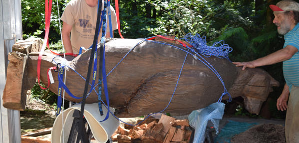 A sigh of releif as the bear is safely on the sawhorses