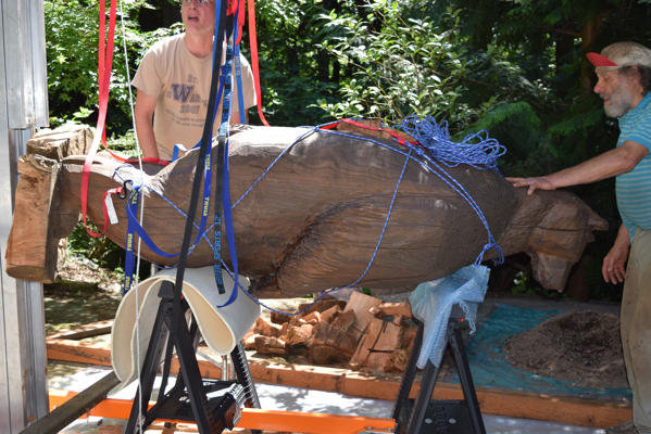 Resting on the sawhorses