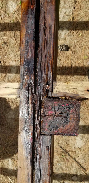 Close up of the joist near the center post treated