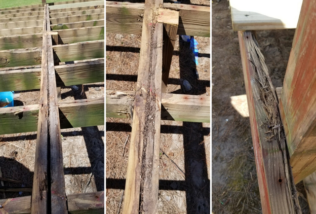 Damaged joists up close