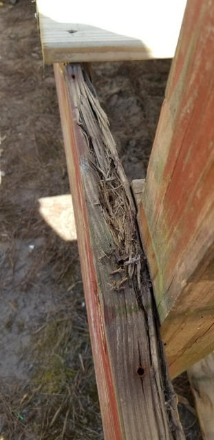 Close up of the edge of the joist