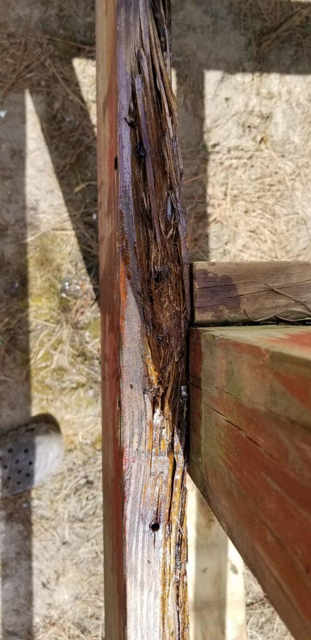 Close up of the edge of the joist treated