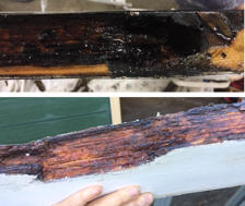 Door showing rot treatment, then cured