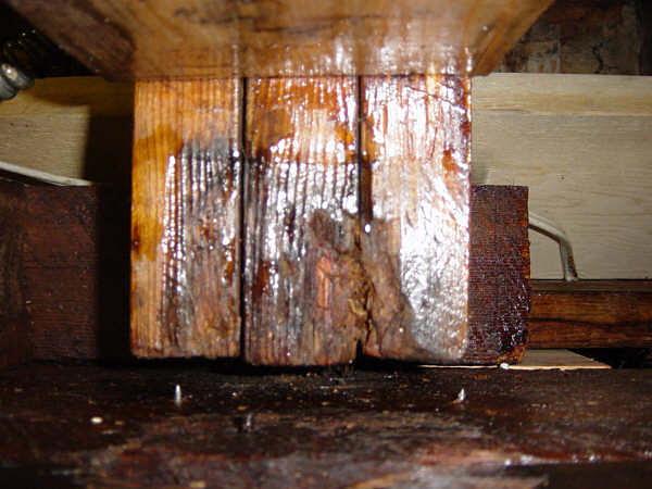 CPES treated beams