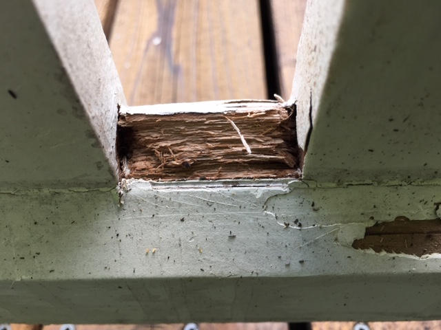 Worst rails after blowing bad wood away