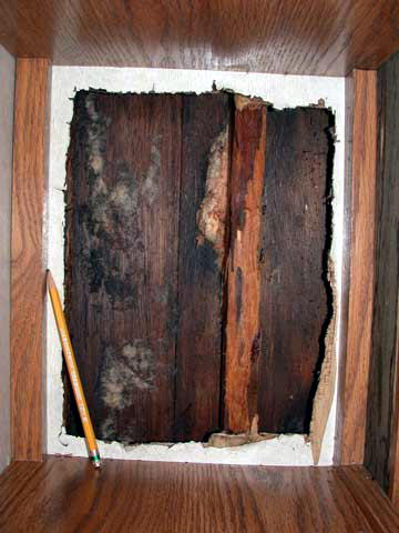 Wood Preservation Rot Repair And Restoration Using Epoxy