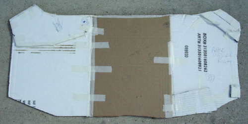 Cardboard Cutout
