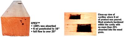 Penetration Test - Wood preservation, rot repair, and restoration using epoxy  resin on boats, homes and log homes.