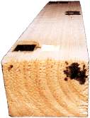 Penetration Test - Wood preservation, rot repair, and restoration using epoxy  resin on boats, homes and log homes.