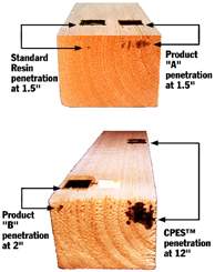 Penetration Test - Wood preservation, rot repair, and restoration using epoxy  resin on boats, homes and log homes.