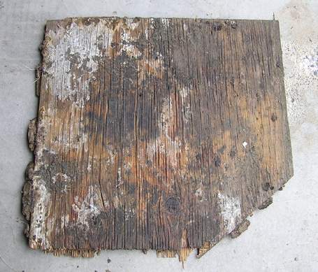 Picture F, bottom of untreated panel