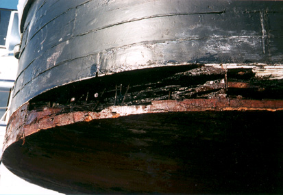 Stern rot after treatment