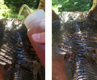 Treating the head with S-1 Sealer